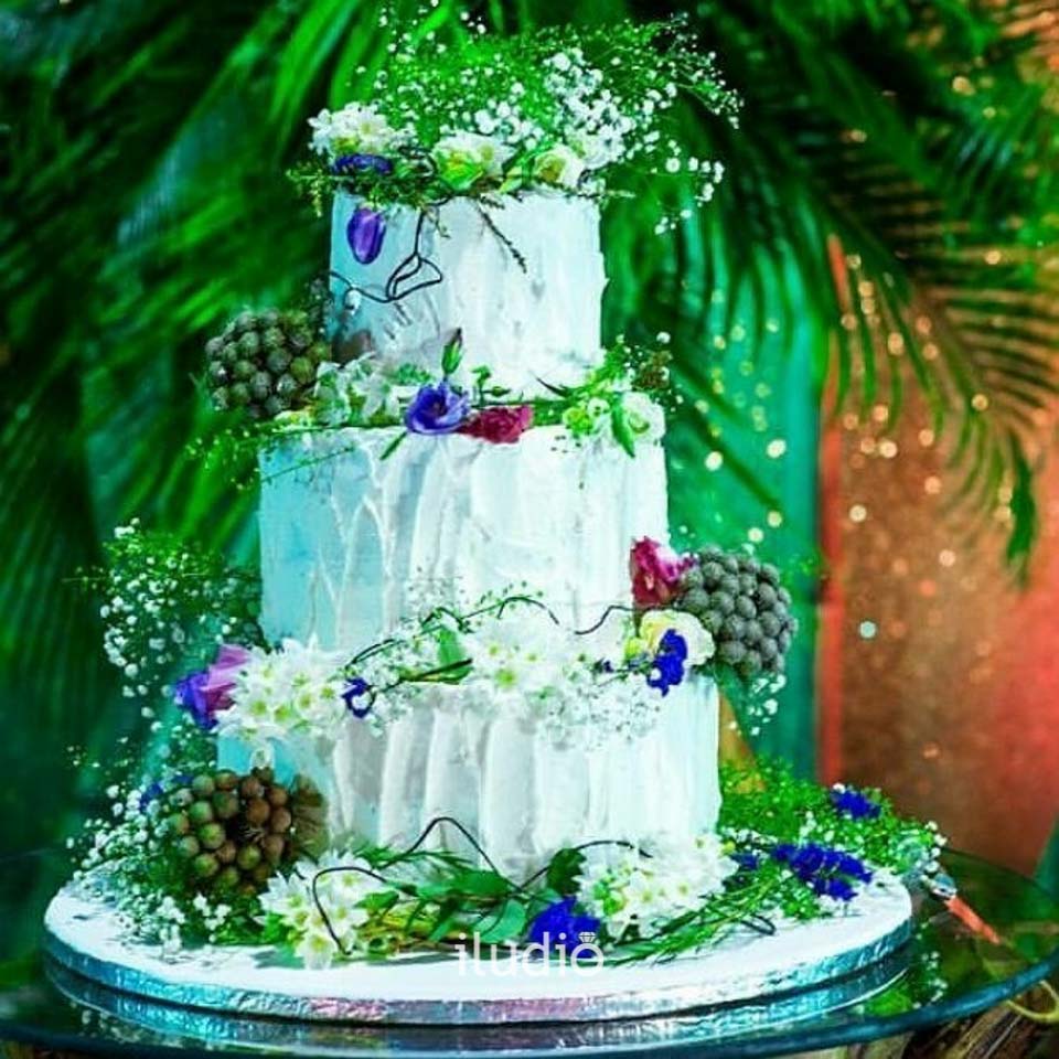 Delicious and creative birthday cake. For children. Theme Nature Plants  Stock Photo - Alamy